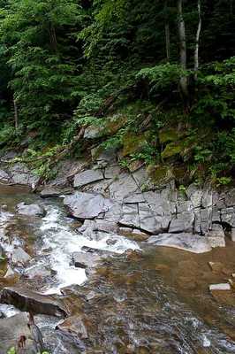 Люта карпаты закарпатье остап цапулич красивое фото река
