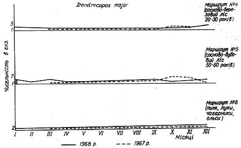 Облік чисельності великого строкатого дятла в 1967 − 1968 рр. на трьох двокілометрових маршрутах у Пнівнівському лісництві Волинської області.