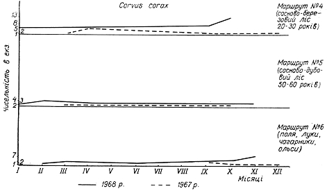 Облік чисельності крука в 1967 − 1968 рр. на трьох двокілометрових маршрутах у Пнівнівському лісництві Волинської області.