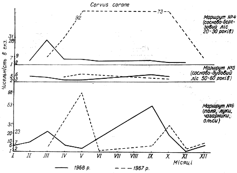 Облік чисельності сірої ворони в 1967 − 1968 рр. на трьох двокілометрових маршрутах у Пнівнівському лісництві Волинської області.