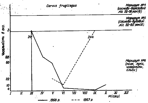Облік чисельності грака в 1967 − 1968 рр. на трьох двокілометрових маршрутах у Пнівнівському лісництві Волинської області