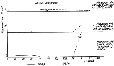 Облік чисельності галки в 1967 − 1968 рр. на трьох двокілометрових маршрутах в Пнівнівському лісництві Волинської області.