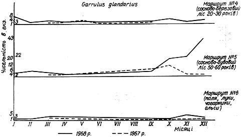 Облік чисельності сойки в 1967 − 1968 рр. на трьох двокілометрових маршрутах у Пнівнівському лісництві Волинської області.