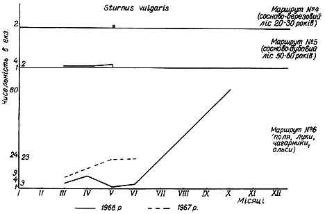 Облік чисельності звичайного шпака у 1967 − 1968 рр. на трьох двокілометрових маршрутах у Пнівнівському лісництві Волинської області