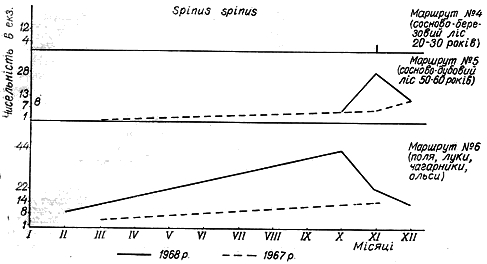 Облік чисельності чижа в 1967 − 1968 рр. на трьох двокілометрових маршрутах у Пнівнівському лісництві Волинської області