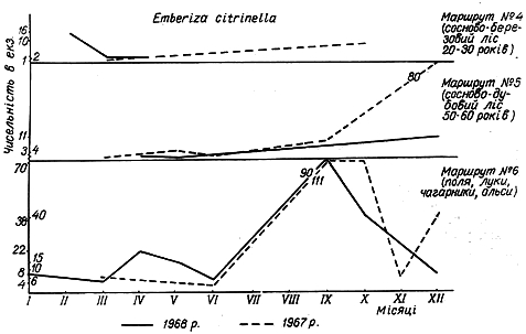 Облік чисельності звичайної вівсянки в 1967 − 1968 рр. на трьох двокілометрових маршрутах у Пнівнівському лісництві Волинської області.