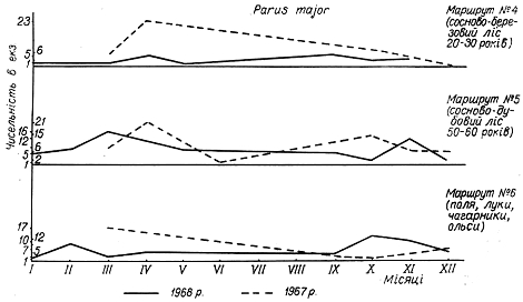 Облік чисельності великої синиці в 1967 − 1968 рр. на трьох двокілометрових маршрутах у Пнівнівському лісництві Волинської області.