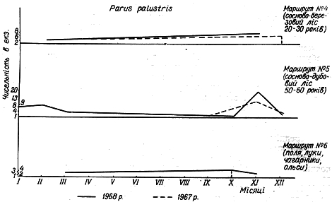 Облік чисельності болотяної гаїчки в 1967 − 1968 рр. на трьох двокілометрових маршрутах у Пнівнівському лісництві Волинської області.