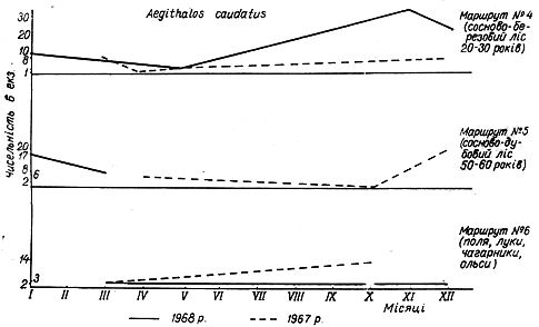 Облік чисельності довгохвостої синиці в 1967 − 1968 рр. на трьох двокілометрових маршрутах у Пнівнівському лісництві Волинської області.