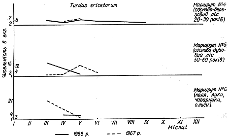Облік чисельності співочого дрозда в 1967 − 1968 рр. на трьох двокілометрових маршрутах у Пнівнівському лісництві Волинської області.
