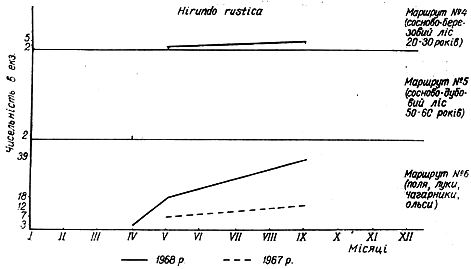 Облік чисельності сільської ластівки в 1967 − 1968 рр. на трьох двокілометрових маршрутах у Пнівнівському лісництві Волинської області.