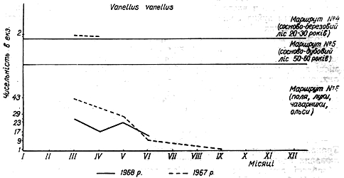 Облік чисельності чайки в 1967 − 1968 рр. на трьох двокілометрових маршрутах у Пнівнівському лісництві Волинської області