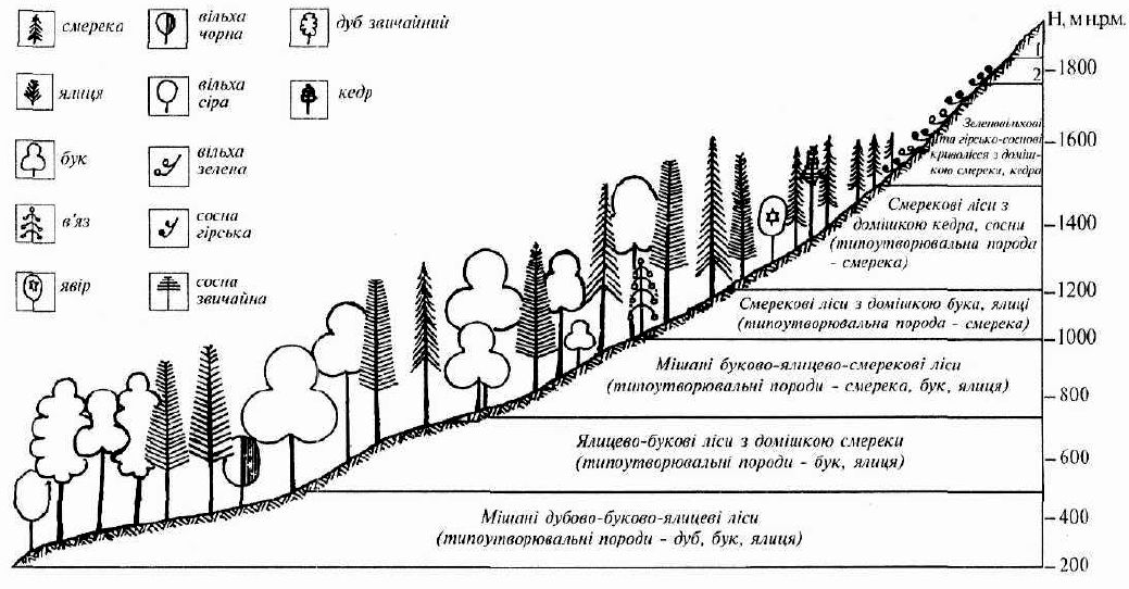 Схема высотная поясность крымских гор